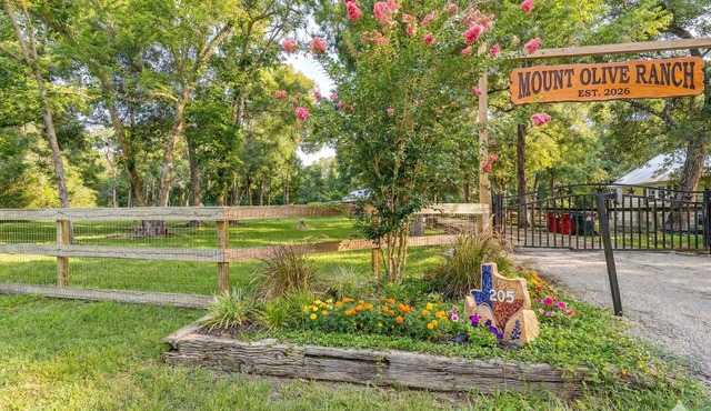 Mount Olive Ranch