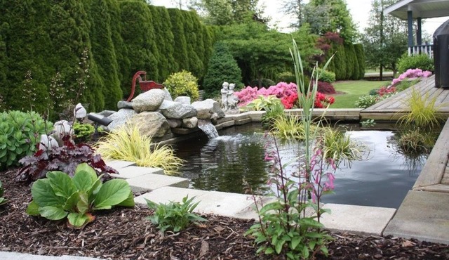 Mt Bakerview Bed and Breakfast