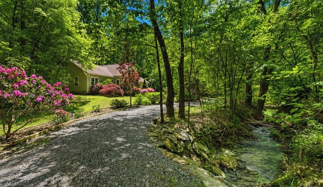 NEW! Wander | Private 7-Acre Creekfront & Gameroom