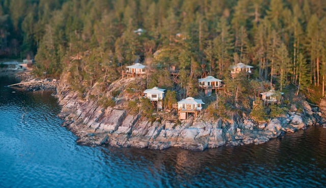 Oceanfront Luxury Tenthouse A