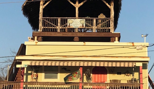 Pet-friendly home located near Seawall.