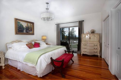 Pet Friendly Licensed Suite on Haskap Farm