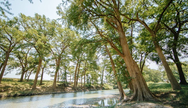 Private River Access on Seven Acres