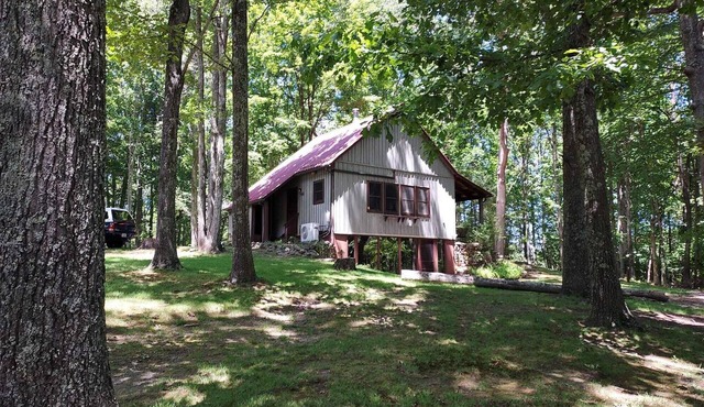 Rustic mountain retreat in beautiful Millboro - enjoy the solitude of the woods.