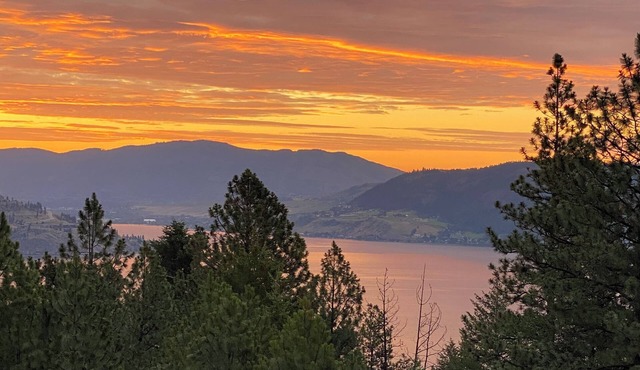 Rustic Panoramic Okanagan Lake View Walkout Suite, Sleeps 7 & Pet friendly