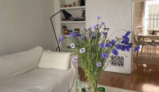 Serene 1-bedroom apartment in the heart of Los Angeles