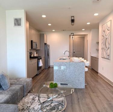Sleek Modern Oasis in the Heights