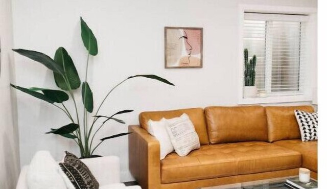 Spacious 1 Bedroom Pet Friendly Suite