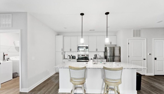 Stylish and Modern Charlotte Apartment Near UNC 8308