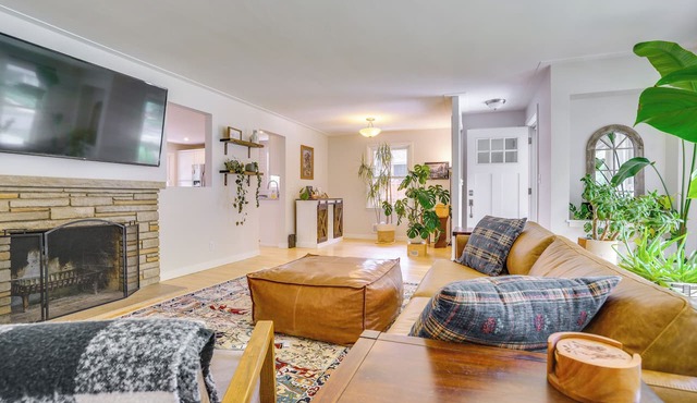 The Animal House: Curl Up and Stay Awhile