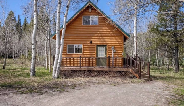The Aspen House