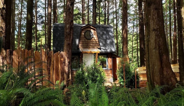 The Sapling Cabin by Evergreen Forest Cabins