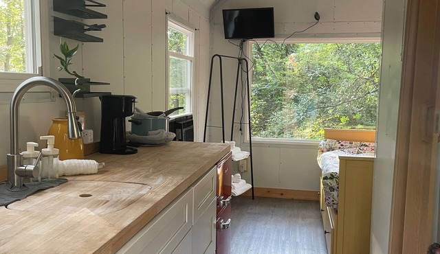 Tiny House In The Forrest. Perfect city location with country feel.