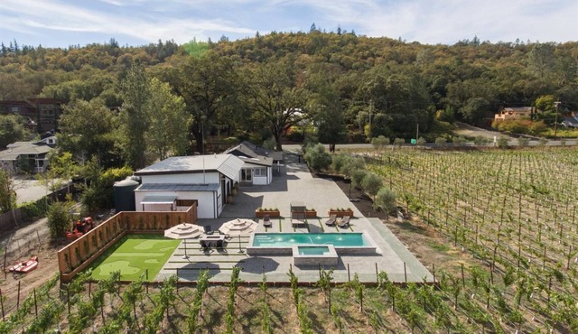 Vineyard