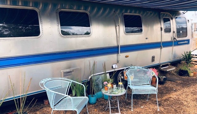 Vintage Airstream Tiny House on Urban Flower Farm