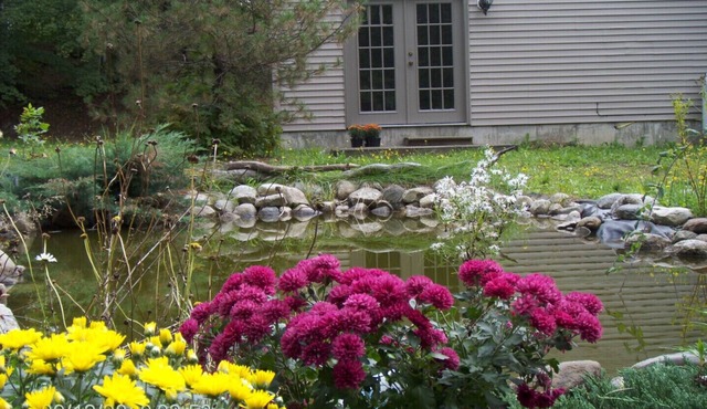 White Mountain Retreat - Family/Pet Friendly- Year Round : Ski areas Close by!