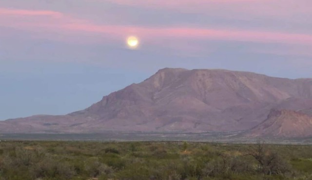 Wildlife, BBQ, Stargazing: Black Cat Ranch Awaits!