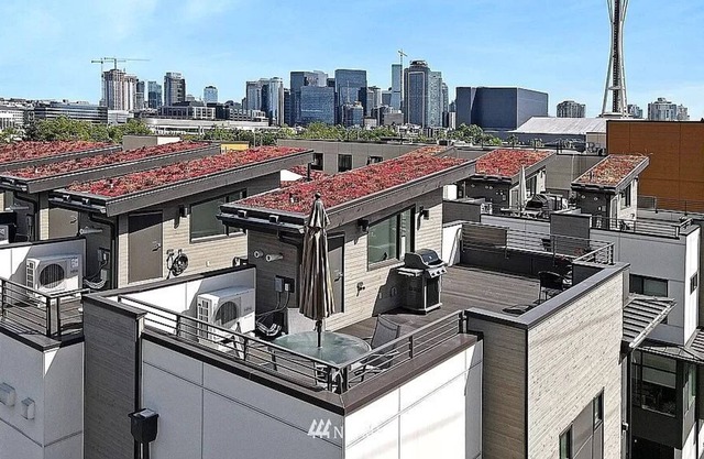 Rooftop Views Walkable to Seattle Center, Gates, Amazon 2BR 3BA