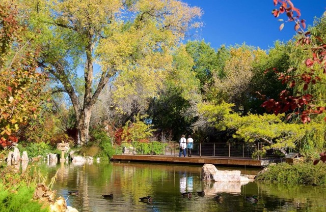 The Perfect Group Escape! 3 Roomy Units, FREE Parking, Near Albuquerque Sunport!