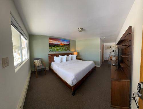 Newcastle Hotel | 29 m² Motel ∙ 7 guests