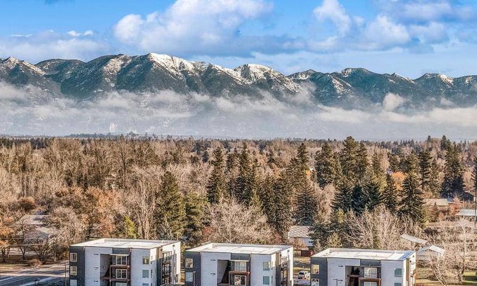 Evergreen Hotel | 37 m² Hotel ∙ 2 guests
