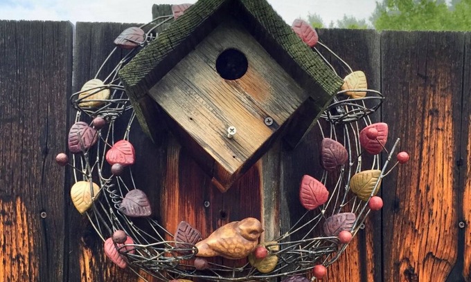 Livingston Apartment | AFFORDABLE Glorified Basecamp -"The Bird House"