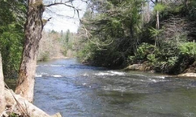 Blue Ridge Cabin | 'CREEK-N-AWESOME' Luxury Creek Cabin/Trout Fishing/Hot Tub/PET FRIENDLY