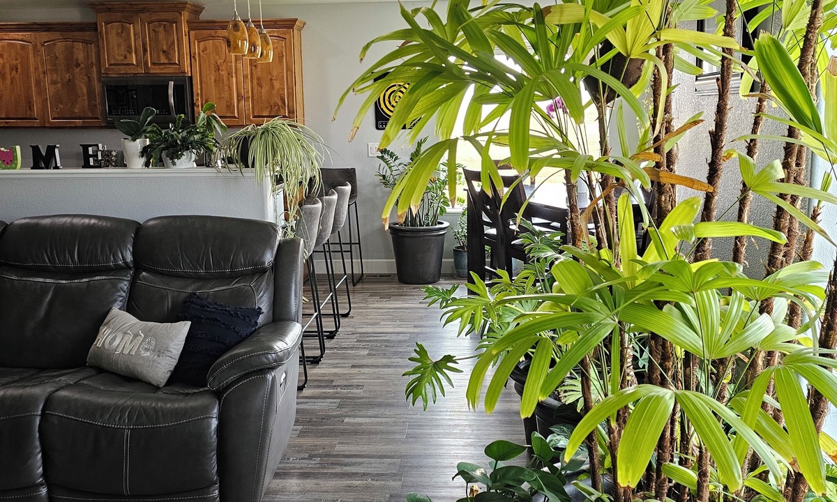 Gillette House | Cozy family friendly 5 bedroom home 10 min drive from Camplex