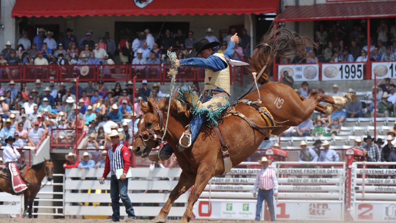 Photo of Others in Cheyenne