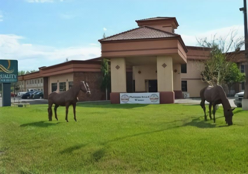 Photo of Buildings in Casper