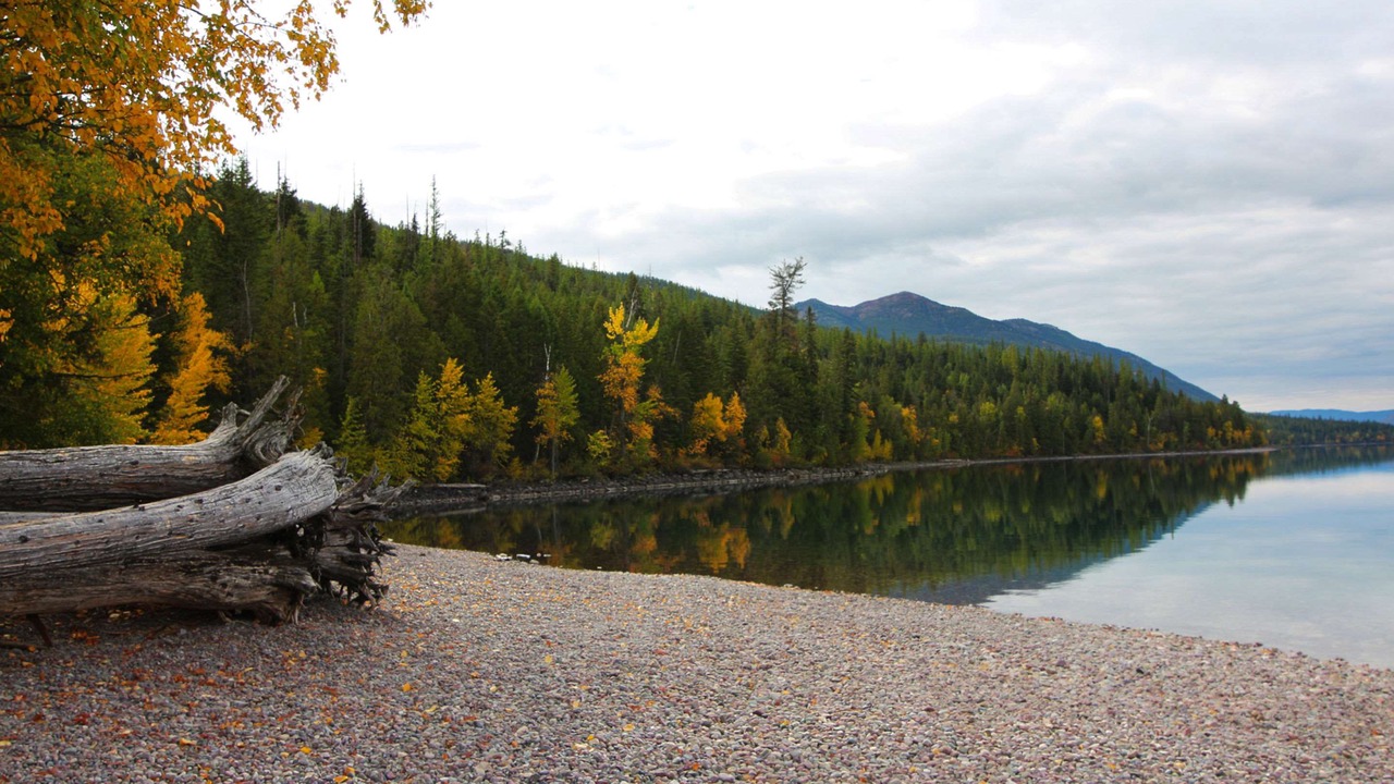 Photo of Others in Whitefish