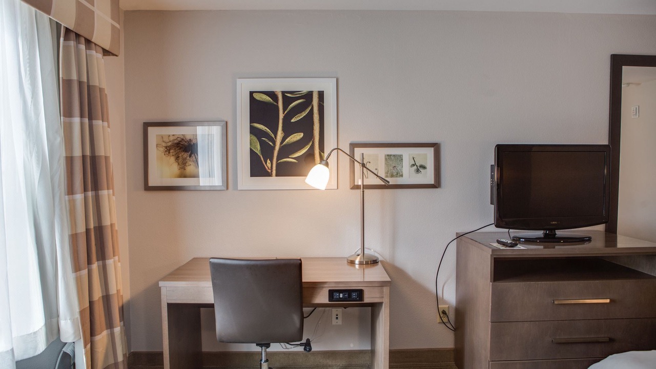 Photo of Livingroom in Harlingen