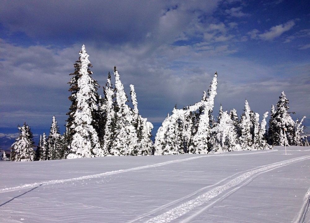 Photo of Buildings in West Yellowstone
