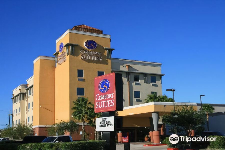 Photo of Buildings in Brownsville