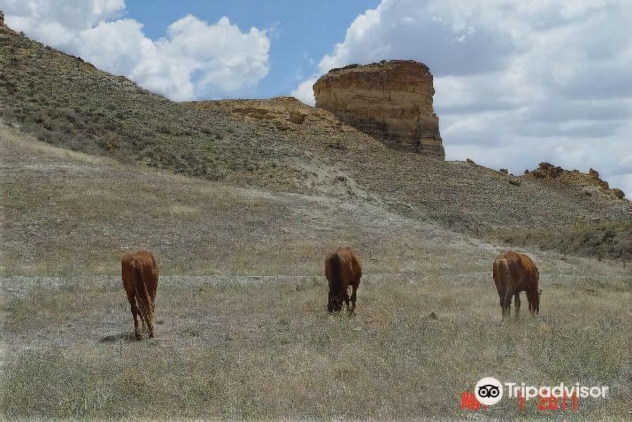 Photo of Others in Green River