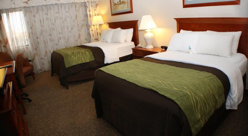 Photo of Bedroom in Cody