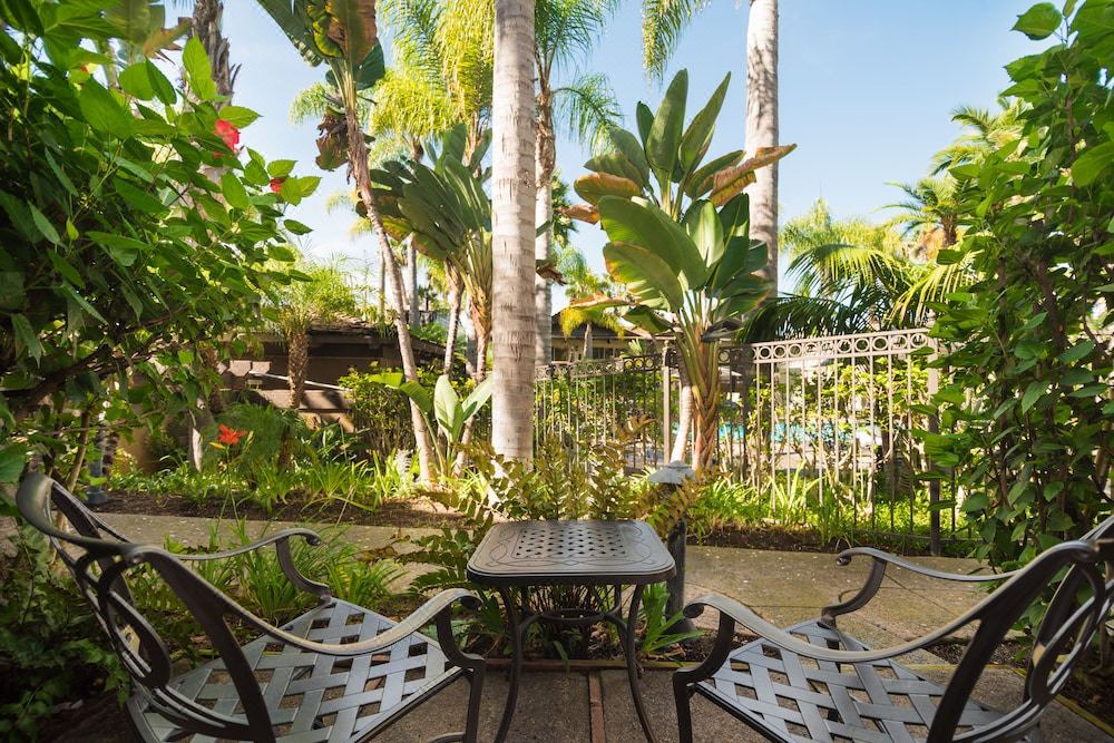 Photo of Patio Balcony in La Playa