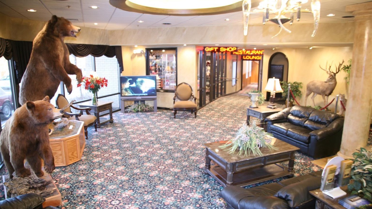 Photo of Livingroom in Evanston