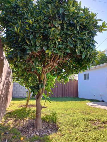Photo of Others in Del Rey