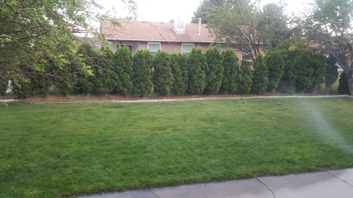 Photo of Others in West Jordan