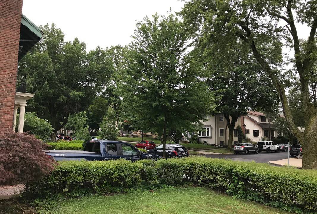 Photo of Others in West Central