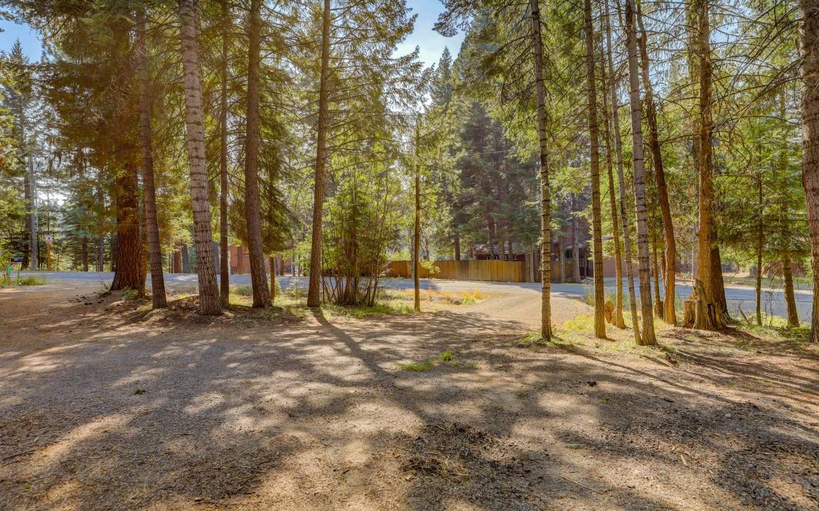 Photo of Others in McCall