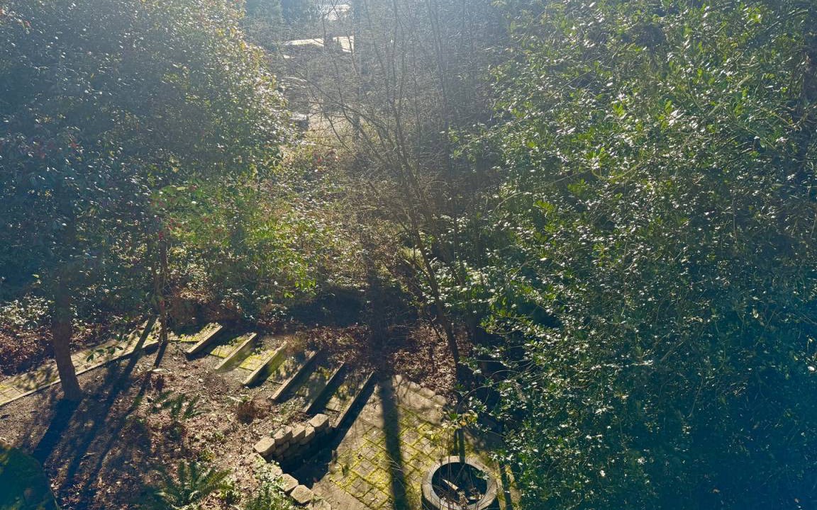 Photo of Others in Mercer Island