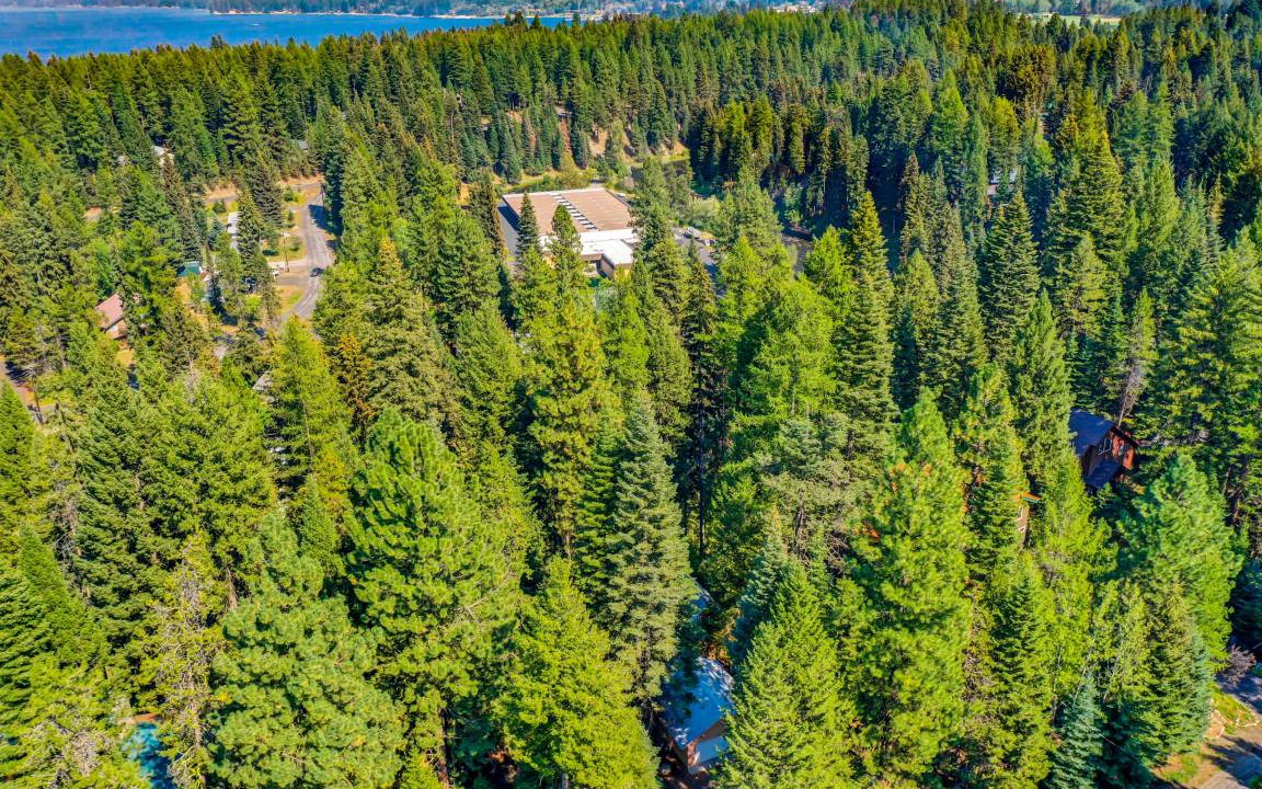Photo of Others in McCall