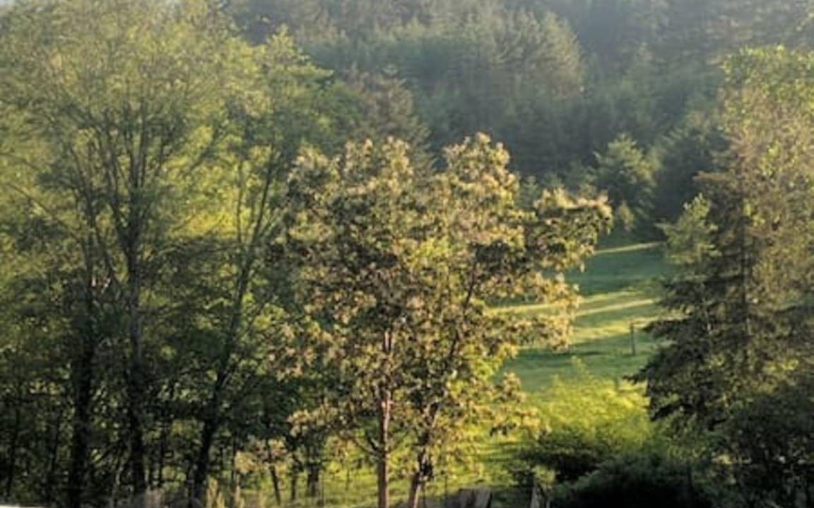 Photo of Others in Washington County
