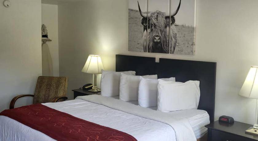 Photo of Bedroom in Parsons
