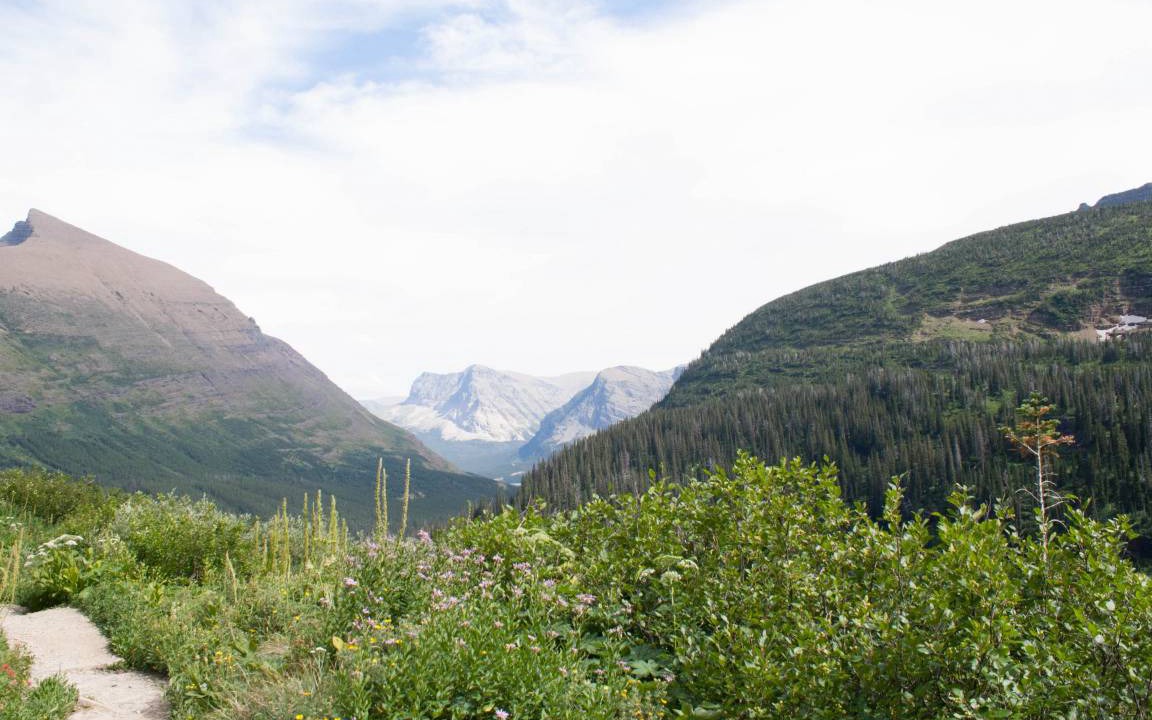 Photo of Others in Big Sky Meadow Village