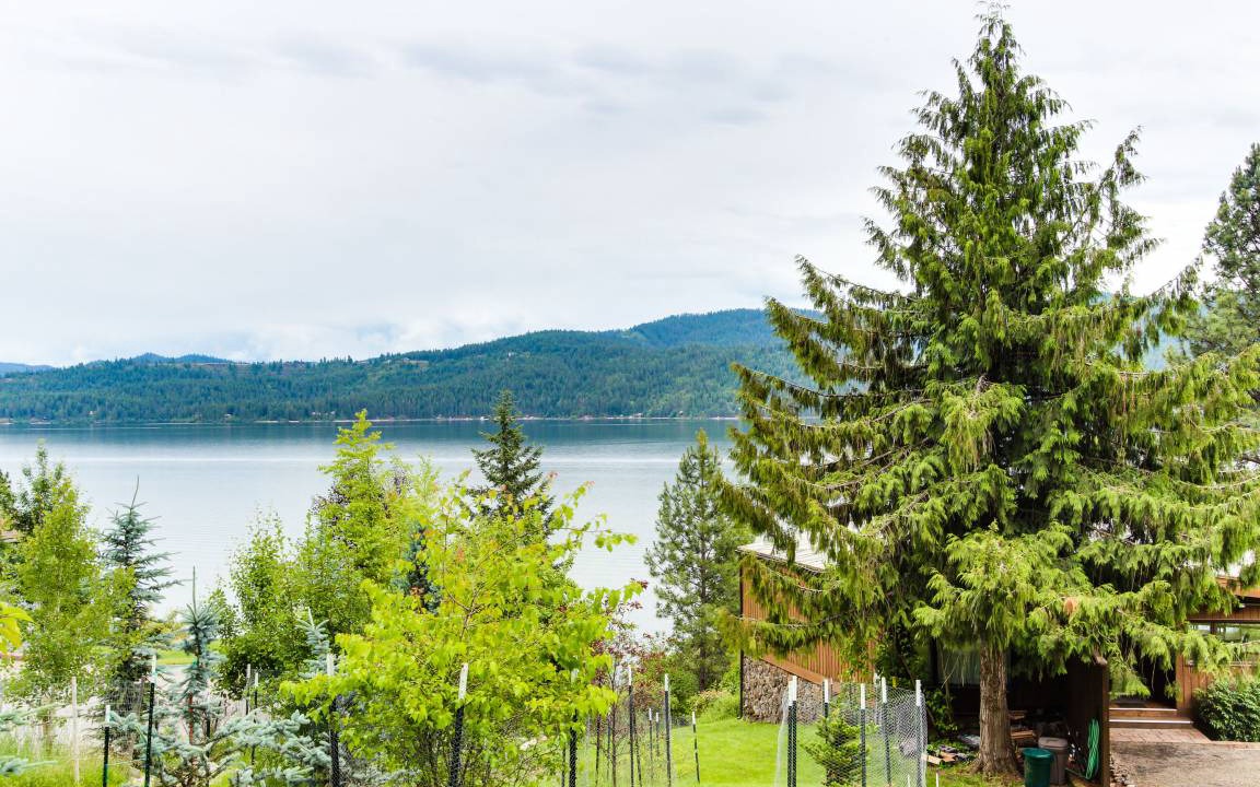 Photo of Others in Coeur d'Alene