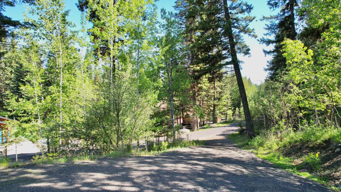 Photo of Others in McCall