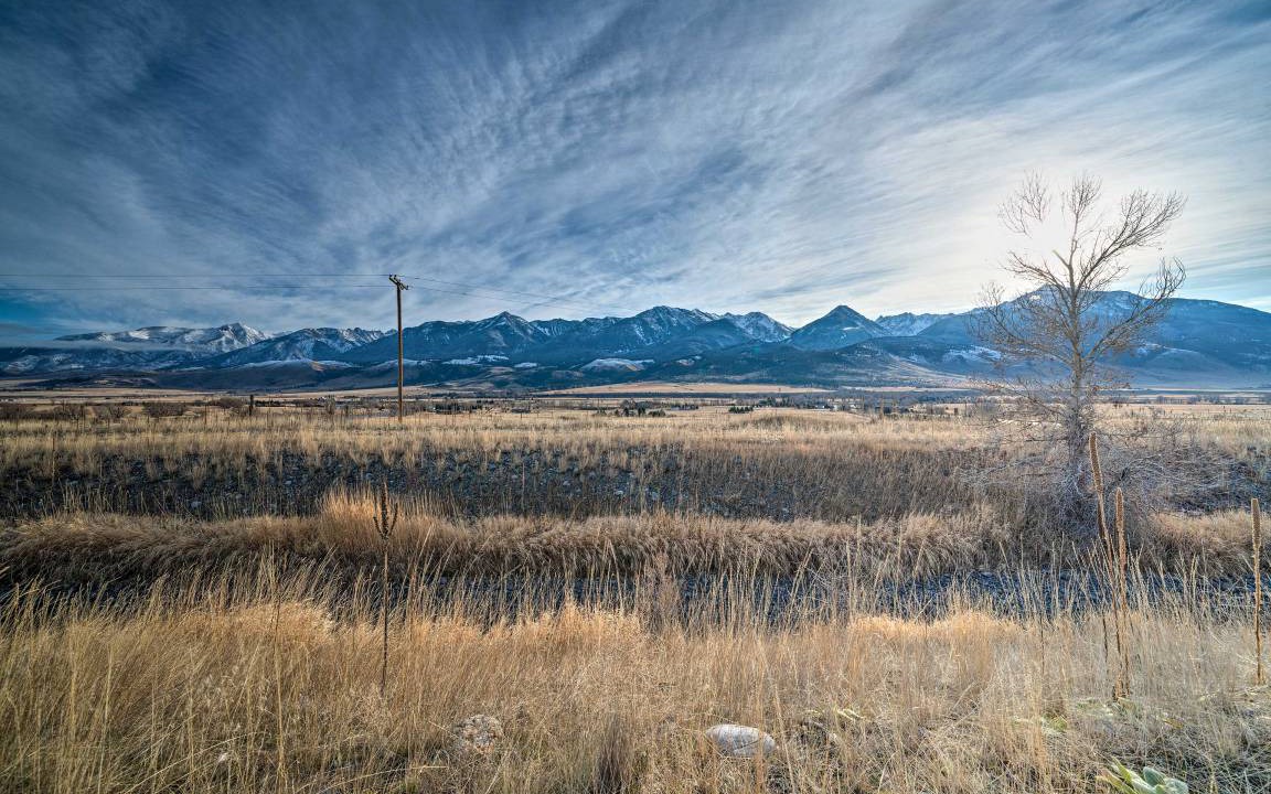 Photo of Outdoor in Livingston